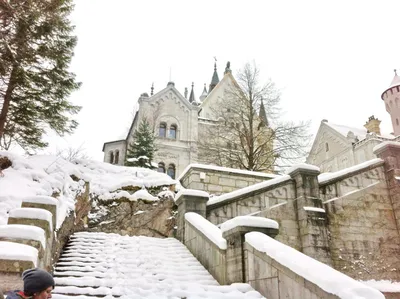 22.12.2023 - Рождественский Мюнхен 🎅 и замок Нойшванштайн 🏰