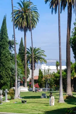 Hollywood Forever — кладбище знаменитостей | Культура и искусство | Дзен