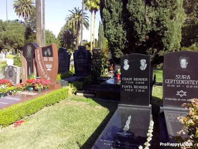 Кладбище в Голливуде Hollywood Forever - Про счастливую жизнь