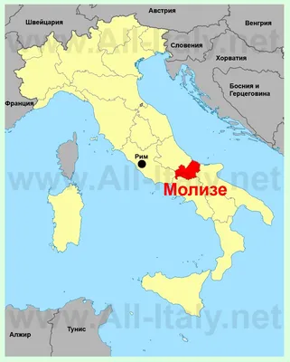 Вина из региона Молизе (Италия) | Жизнь и Вино | Дзен