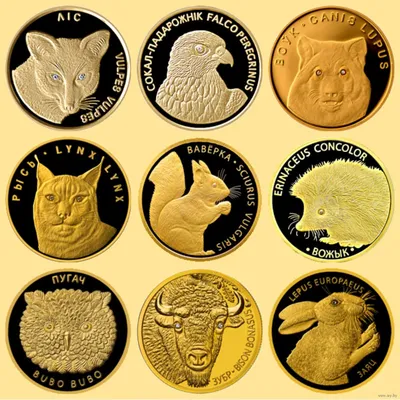 Монета беларусь 20 копеек 2009 стоимостью 90 руб.