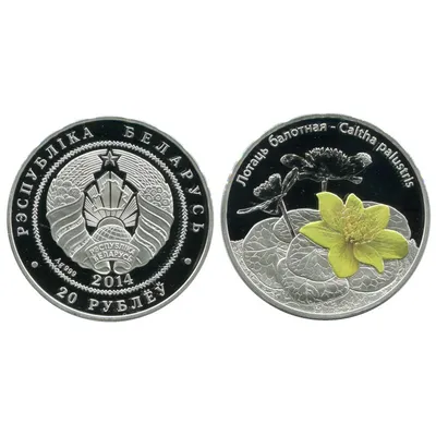 Современные монеты: Памятные монеты Белоруссии, Украины, Казахстана,  Киргизии в память о Победе в ВОВ
