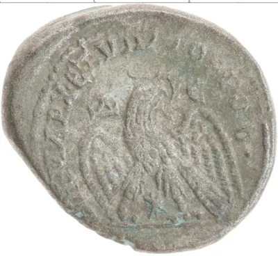 В Испании барсук помог найти клад древних римских монет | 11.01.2022 |  Грозный - БезФормата