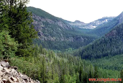 Козы горы и спрятанное озеро, национальный парк ледника, Монтана США  Стоковое Фото - изображение насчитывающей путь, монтана: 86453174
