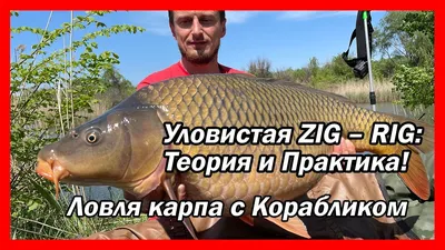 Оснастка ЗИГ РИГ + Карповый Кораблик (ЖИВАЯ ловля карпа на ZIG RIG в завоз)