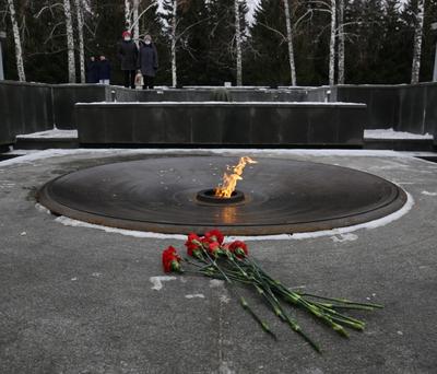 Власти Новосибирской области контролируют благоустройство Монумента Славы