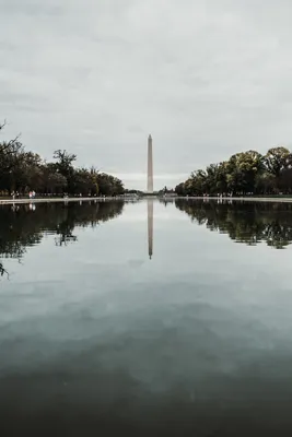 Монумент Вашингтона От Мемориал Линкольна Стоковые Фотографии | FreeImages