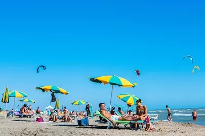 Внимание — В Германии в Балтийском море обнаружены опасные бактерии - МК  Германия