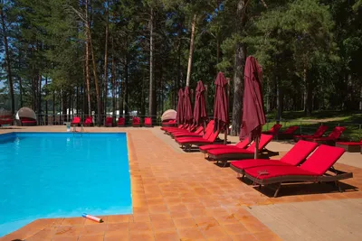 Курорт - отель «Морозово» Новосибирск: цены 2022, отдых, фото, путевки