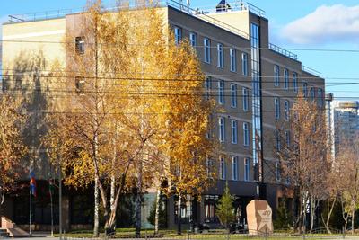 Базы отдыха Новосибирска, Новосибирской области с детьми - лучшие турбазы  для отдыха с детьми, отзывы 2024