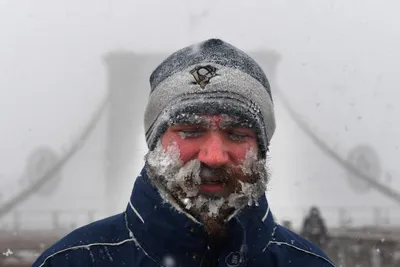 На США обрушились рекордные морозы. 34 человека погибли | СП - Новости  Бельцы Молдова