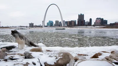 США сковали аномальные морозы: температура достигает минус 56, занятия в  школах отменяют | РЕН ТВ | Дзен