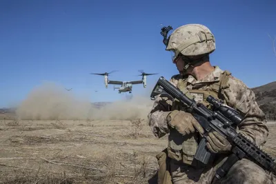 DVIDS - Images - USMC 81 mm Mortar Platoon at Townshend Island [Image 13 of  13]