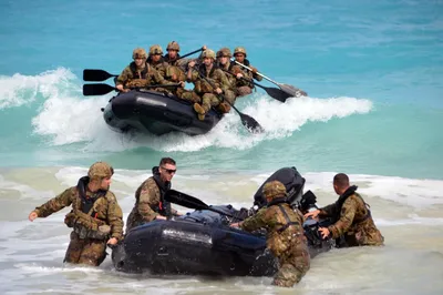 Американский военный заявил о проблемах в подготовке «морских котиков»:  Политика: Мир: Lenta.ru