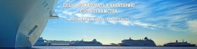 Морской пассажирский порт Санкт-Петербург установил очередной рекорд» в  блоге «Статистика» - Сделано у нас