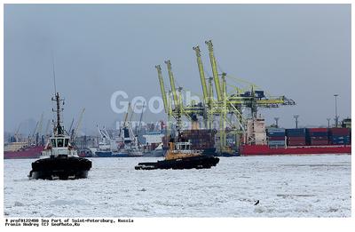 Грузооборот портов Петербурга и Ленинградской области держится в плюсе -  Ведомости