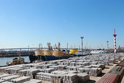 Перенос порта из Петербурга в Усть-Лугу оценили в ₽110 млрд — РБК