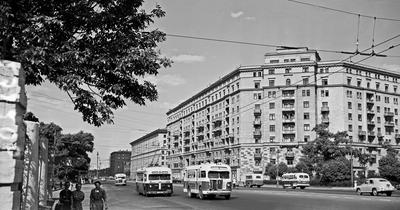 Старая Москва: «В 1950-е нравы на Донской улице были суровые» - Москвич Mag
