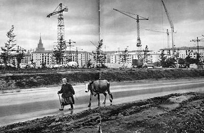 Деревенская Москва 50-х–60-х годов XX века