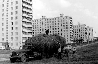 Москва 70-е годы | Пикабу