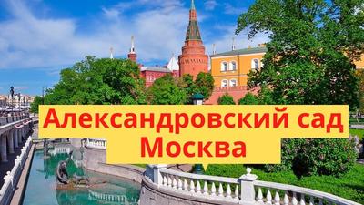 Александровский сад (Москва): мероприятия, еда, цены, билеты, карта, как  добраться, часы работы — ParkSeason