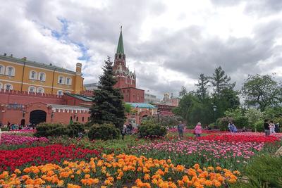 Александровский сад — подробное описание, адрес и фото