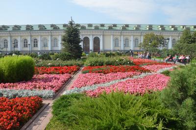 Парад цветов в Александровском саду. Фотограф Николай Сапронов