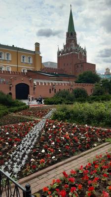 Александровский сад, Москва, prompt …» — создано в Шедевруме