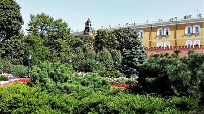 Красная площадь и Александровский сад — экскурсия в Москве