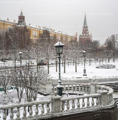 Александровский сад