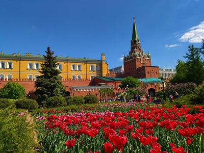Александровский сад в Москве | Вечный огонь, фонтаны, как добраться