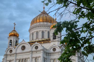 Москва Белокаменная, вновь ненастоящая! (Александр Кушнир 5) / Проза.ру