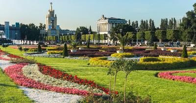 Главный Ботанический сад РАН | Официальный сайт гостиницы \"Турист\", Москва