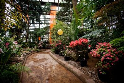 Новая оранжерея в Главном ботаническом саду примет посетителей в ближайшие  месяцы - Собянин :: Новости :: ТВ Центр