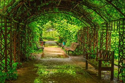 У метро «Ботанический сад» для всех открылся китайский парк «Хуамин» -  Москвич Mag