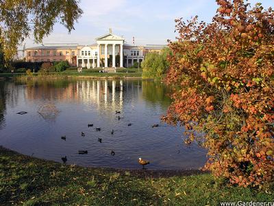 Главный ботанический сад им. Н.В. Цицина РАН (ГБС) | Ландшафтный дизайн  садов и парков