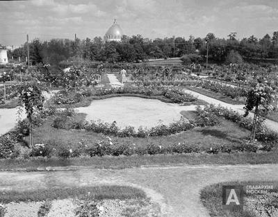 Главный ботанический сад Москвы им. Н.В. Цицина: история, зоны и локации,  как проехать, цены