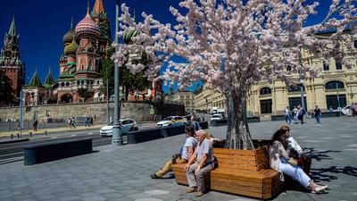 Самые популярные достопримечательности Москвы | Москва-Музеи  бесплатно-Выставки-Экскурсии. Ярмарки в Москве