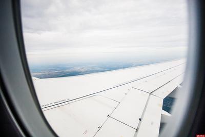 Самолет «Сочи — Москва» вынужденно сел в Волгограде - Газета.Ru | Новости
