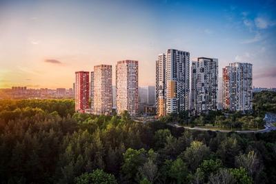 Собянин: в ОЭЗ \"Технополис \"Москва\" запустят производство вакцины \"Спутник  V\" :: Новости :: ТВ Центр