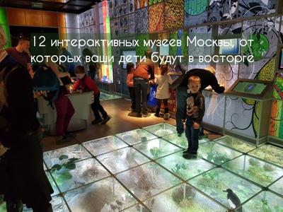 Экскурсии и туры для детей и школьников в Москве – Марина Тревел  (dety.travel)