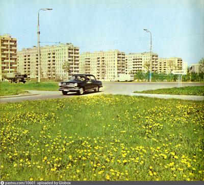 Москва. Химки-Ховрино. Фестивальная улица,1982 год | Пикабу