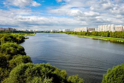 Москва, Марьино - Фото с высоты птичьего полета, съемка с квадрокоптера -  PilotHub