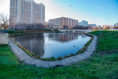 Самая большая полная луна в этом году. Москва - Марьино, фотозарисовки  отовсюду