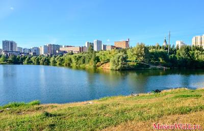 Достопримечательности Митино - 74 фото