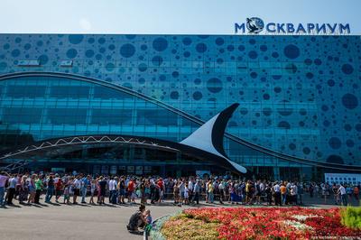 Москвариум, Москва - «Москвариум на ВДНХ, 2023 год. Что посмотреть, как  добраться, какие цены и что там внутри, в этом океанариуме.» | отзывы