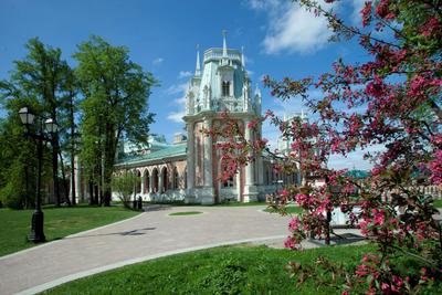 Экскурсии в Царицыно в Москве
