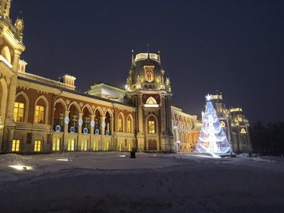 Экскурсии по Царицыно в Москве в 2024 году🧭 цены на туры с посещением  дворца, музея и парка от 350 руб. на март—апрель 2024 года.