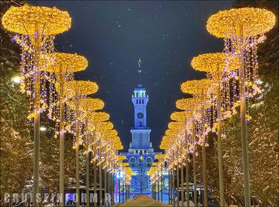 Фото: преображение Дворцовой площади перед Новым годом | Вечёрка