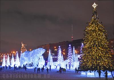 Ярославцы скользят по льду: что происходит на главной площади города перед  Новым годом | 28.12.2023 | Ярославль - БезФормата
